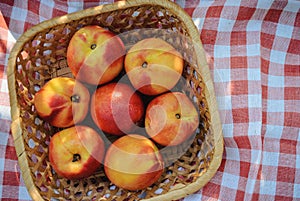 Top view of ripe nectarines in a wicker basket