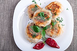 Top view on rissole of minced chicken meat
