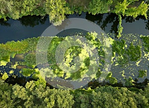 Top view of the river, marshland and trees on the riverbanks