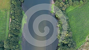 Top View Of River Stream Flowing Through Greenery Vegetations. Aerial