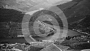 Top view of river, and the vineyards are on a hills, Douro Valley, Portugal. Black and white photo.
