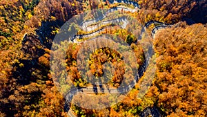 Top view of roadway with autumn colors. European roads