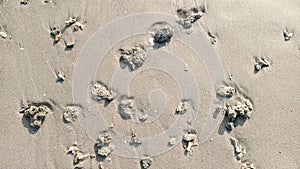 Top view. Rocks on the beach sand for wallpaper.