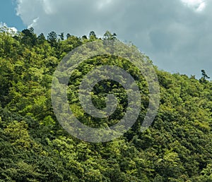 Top view of rocky green hills along Hozugawa River.