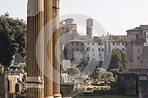 Top view of the Roman Forum with a view of the Basilica of Maxentius and Roman columns.