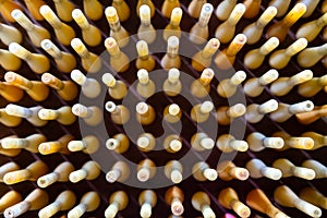 Top View Group of Silk Spools without Silk Thread Yarn