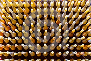 Top View Group of Silk Spools without Silk Thread Yarn