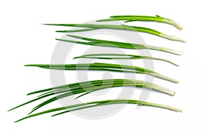 Top view of rows of green onions on white background isolated. Concept of healthy eating