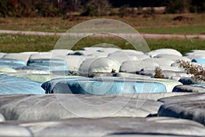 Top view of rows of large hay bales wrapped in blue and white nylon protection for preservation and storage left at local field