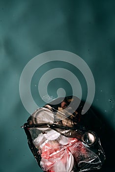 top view of rubbish in plastic bag in water ecology photo