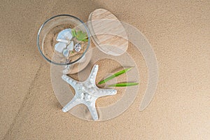 Sand beach with sea star and shells in glass jar