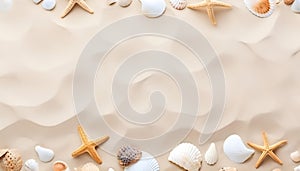 Top view of a sandy beach with collection of white and beige seashells and starfish as natural textured background for summer