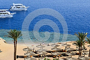 Top view of a sandy beach with sunbeds and sun umbrellas and two large white ships, a boat, a cruise liner floating in the sea on