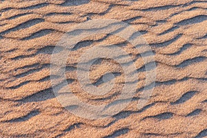 Top view of the sandy beach at sunset. Sand texture close-up