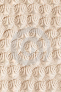 Top view of a sandy texture with imprints of mollusks as natural textured background photo