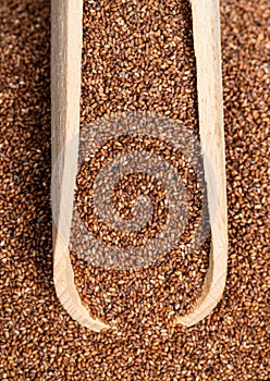 Top view of scoop wholegrain teff seeds closeup