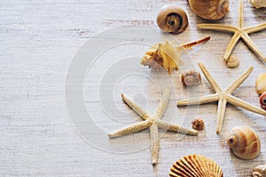 Top view of sea shells and starfish on grunge white wooden background. Background concept for Summertime holiday vacation. Summer