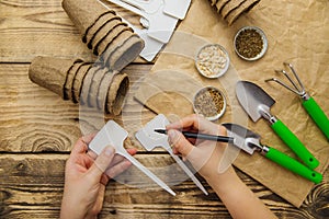 Top view of seeds and garden tools on a wooden background. Women`s hands sign a sign for the plant