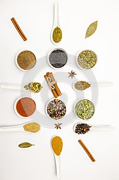 Top view, set of different culinary spices in white ceramic bowls and spoons, on white background.