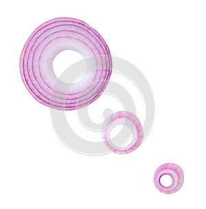 Top view set of red or purple onion slices or onion rings scattered isolated on white background with clipping path