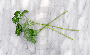 Curly parsley sprigs on a marble cutting board