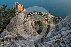 top view of sharp rocks cliff among green trees on the shore, coast of blue sea, Crimea, summer, sun
