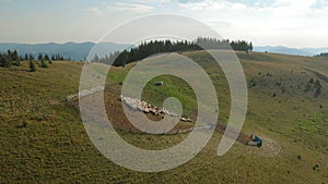 Top view of sheepfold in mountains.