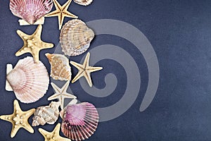 Top view of shells and starfish group on black background
