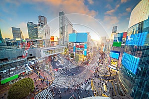 Top view of Shibuya Crossing at twilight in Tokyo