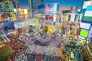 Top view of Shibuya Crossing at twilight in Tokyo