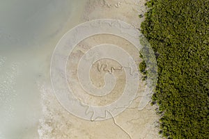 Top view of a shore in Matakohe area during low tide, New Zealand