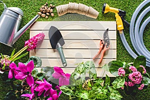 top view of shovel, secateurs, watering can, flower pots and hosepipe