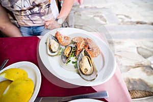 Top view shrimp on a plate