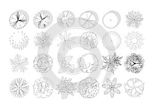 Top view and side view, set of graphics trees elements outline symbol for architecture and landscape design drawing. Vector