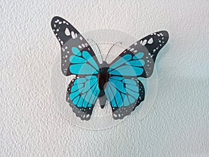 Top view, Single blue butterfly flying isolated white wall background for stock photo design or advertise product, summer animal