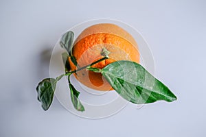 Top view of a single ripe orange with green leaves