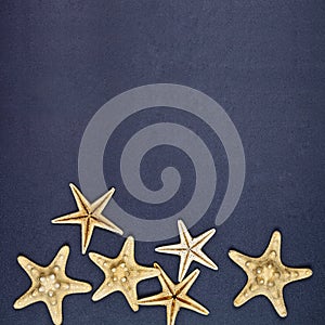 Top view of six starfish on black background