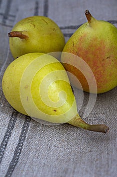 Top view of small green pears on gray dishcloth