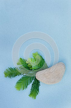 Top view of smooth grey pebble and few green brunches with long leaves-needles on light-blue background with copy space around.