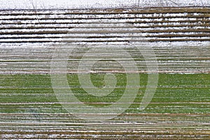 Top view of snow-covered fields