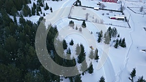 Top view of snowmobile driving along forest road. Clip. Snowmobile rides on beautiful snow-covered country road. Winter