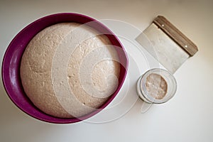 Top view of soft bread dough rising in a bowl