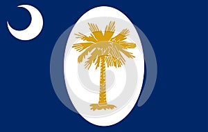 Top view of South Carolina January 1861 , USA flag, no flagpole. Plane design layout. Flag background