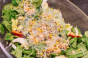 Top view of Soy sprouts salad