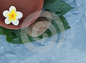 Top view of spa bowl with water and flower