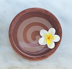 Top view of spa flower in the water bowl for massage