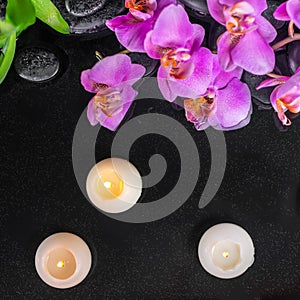 Top view of spa setting with purple orchid phalaenopsis, candles, green leaves and black zen stones with drops on water
