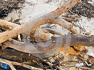 Top view of stack of old wooden logs