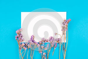 Top view of statice flower with white paper card on blue background