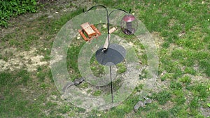 Top view of a successful bird feeders equipped with squirrel baffle